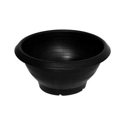 DESERT ROSE POT PNP 12IN BLACK