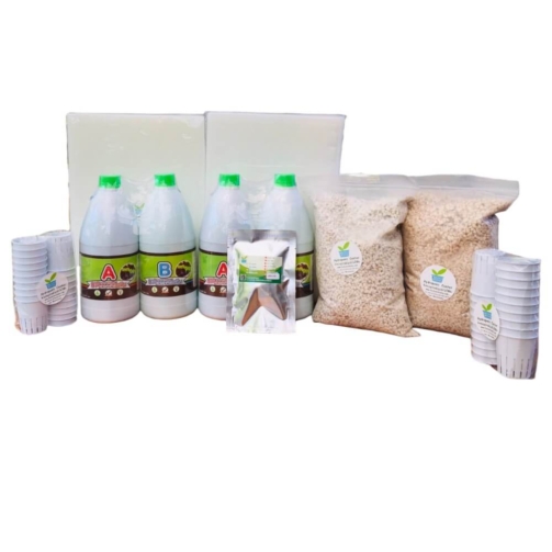 HYDROPONIC VEGETABLE GROWING KIT HYDROHOBBY SET D